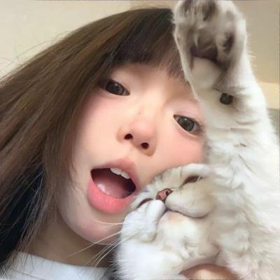 保卫延安